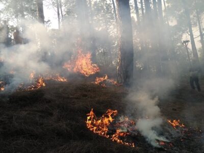 बागलुङमा ३८ वनमा आगलागी : १५ वनको आगो नियन्त्रण बाहिर